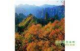 長沙往返張家界、天子山、寶峰湖/黃龍洞三日游